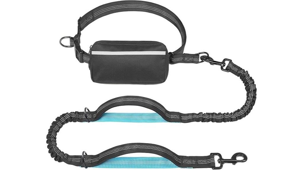 hands free leash with pouch