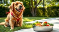 healthy dog weight management