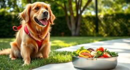 healthy dog weight management