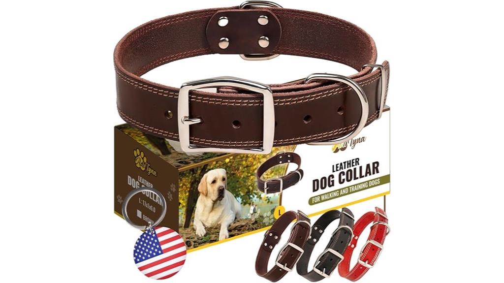 heavy duty leather collar