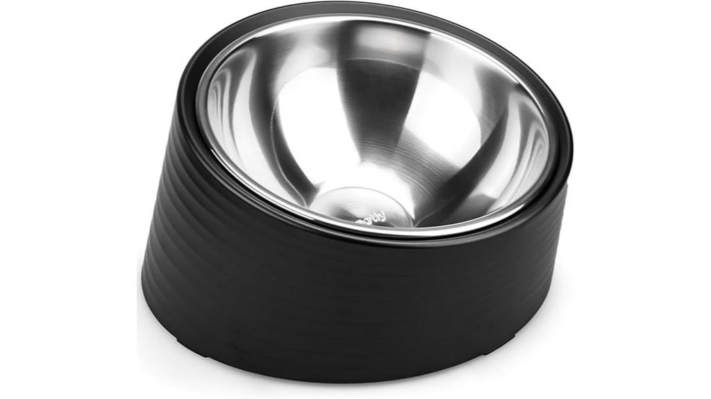 inclined stand dog bowl