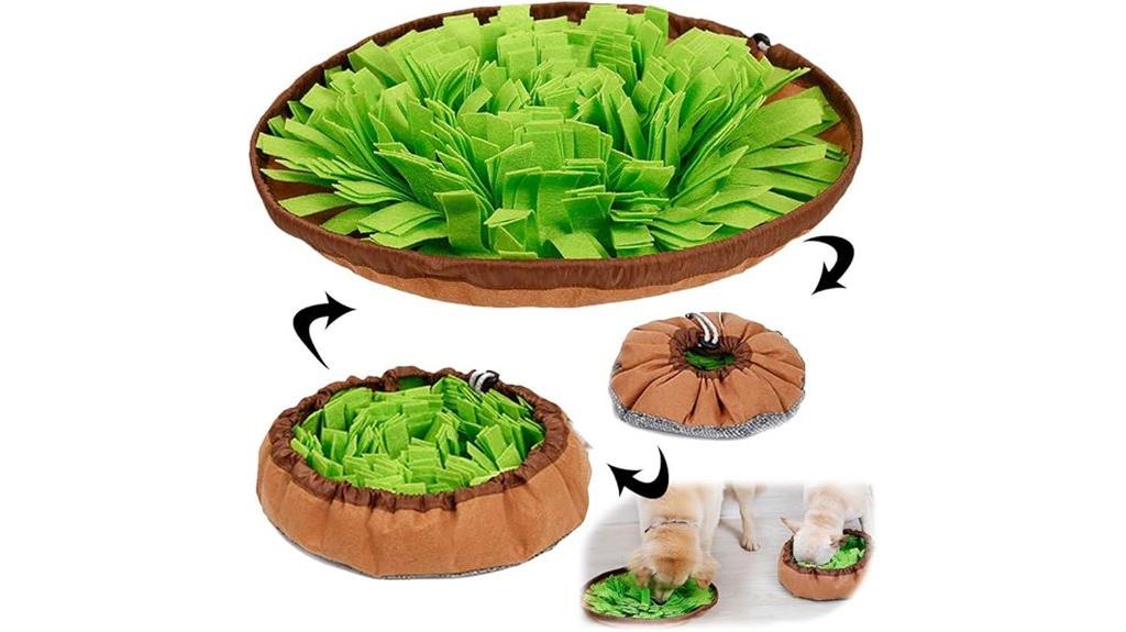 interactive pet foraging mat
