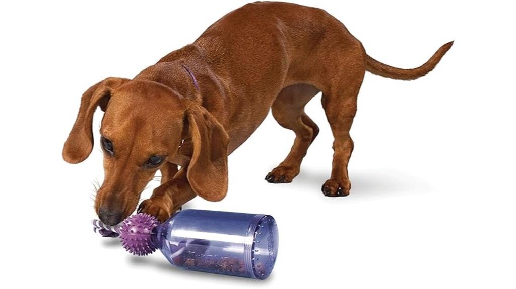 interactive slow feed dog toy