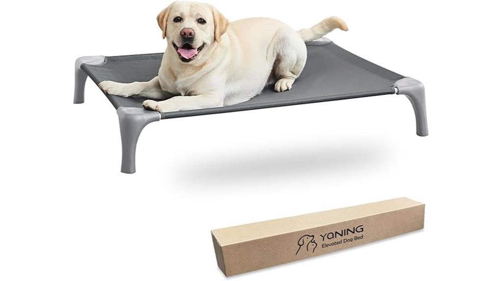 large elevated dog bed