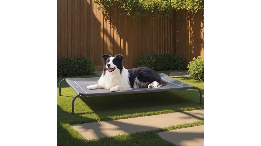 large outdoor dog bed