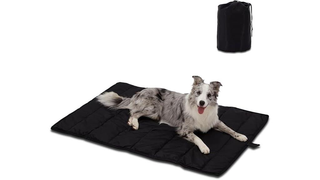 large outdoor dog bed
