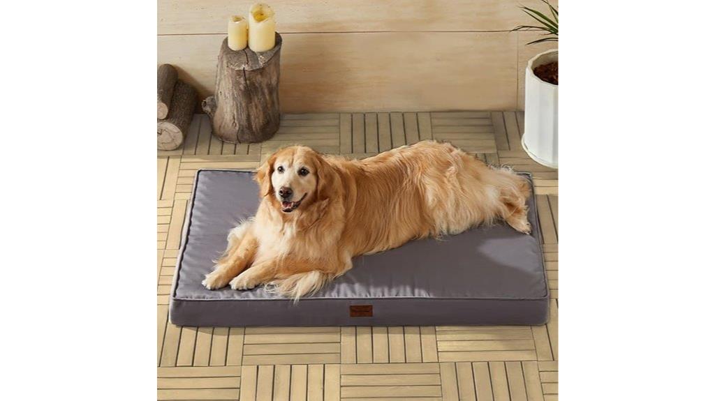 large outdoor dog bed