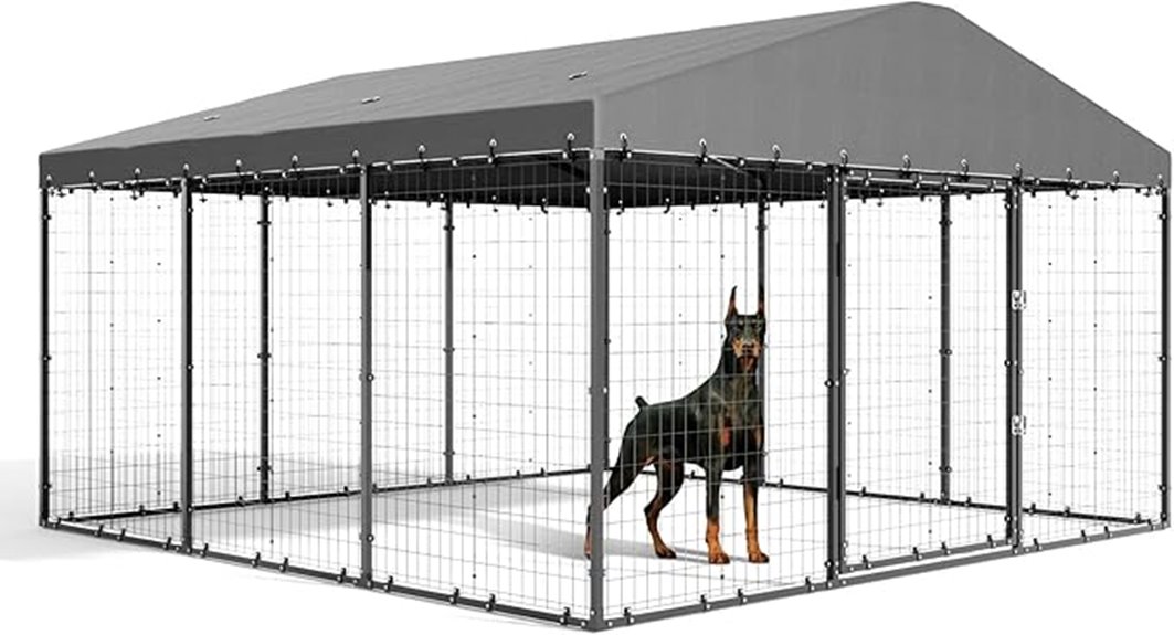 large outdoor dog kennel