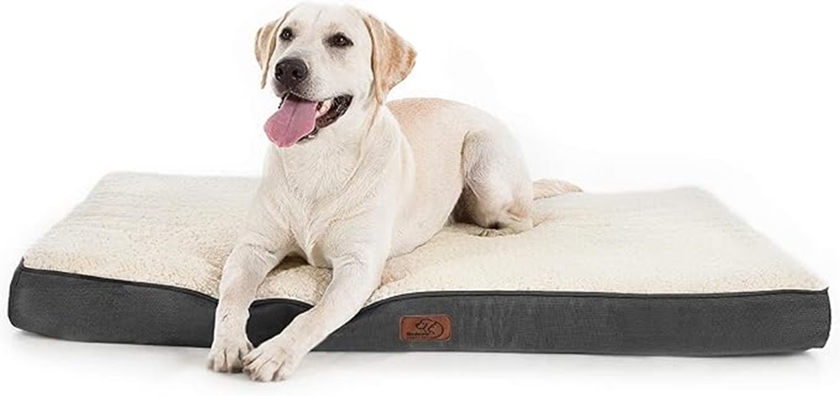 large waterproof orthopedic dog bed