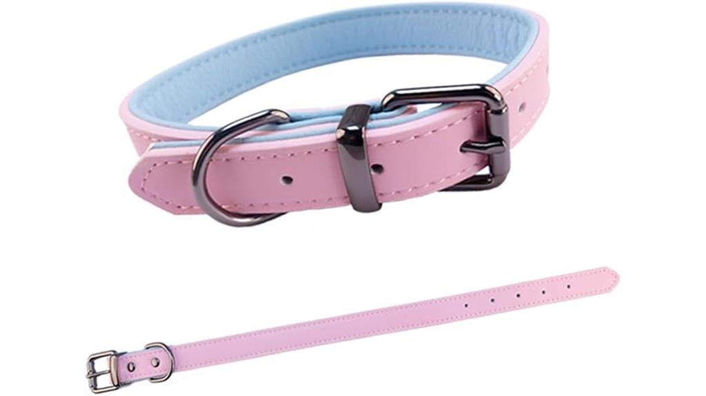 leather collar for medium dogs