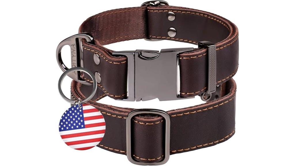 leather dog collar with buckle