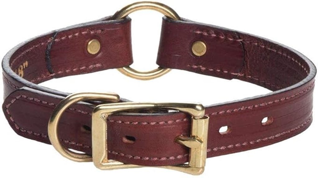 leather us made dog collar