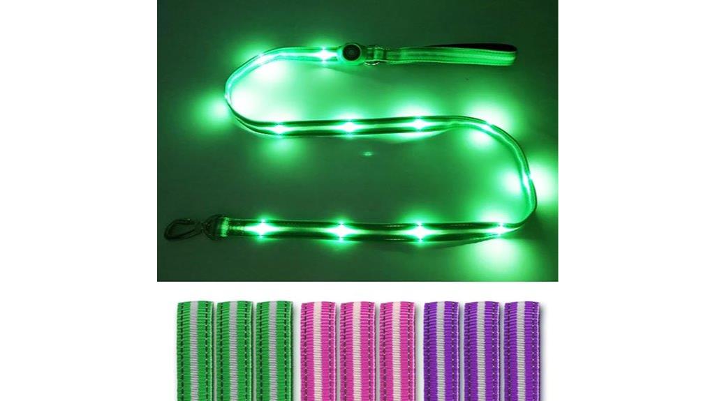 led reflective night leash