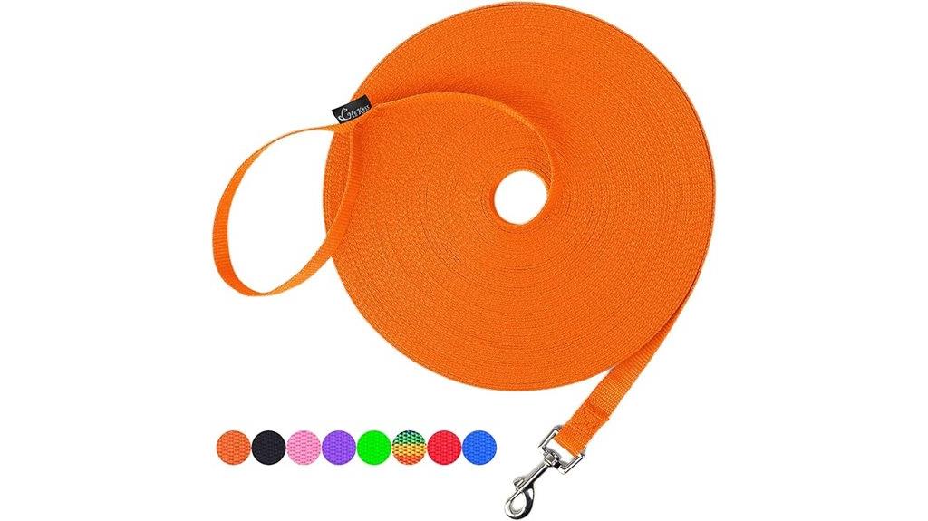 long orange dog leash
