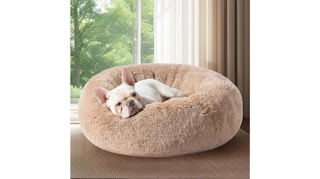 medium camel dog bed