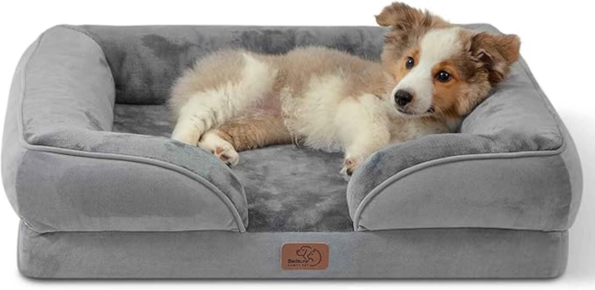 orthopedic bed for medium dogs