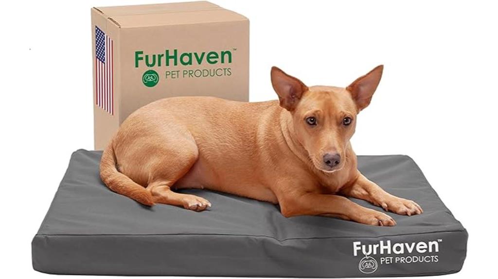 orthopedic water resistant dog bed