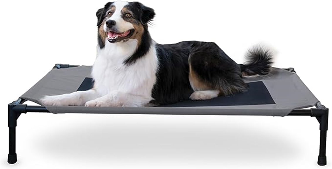 outdoor elevated dog bed