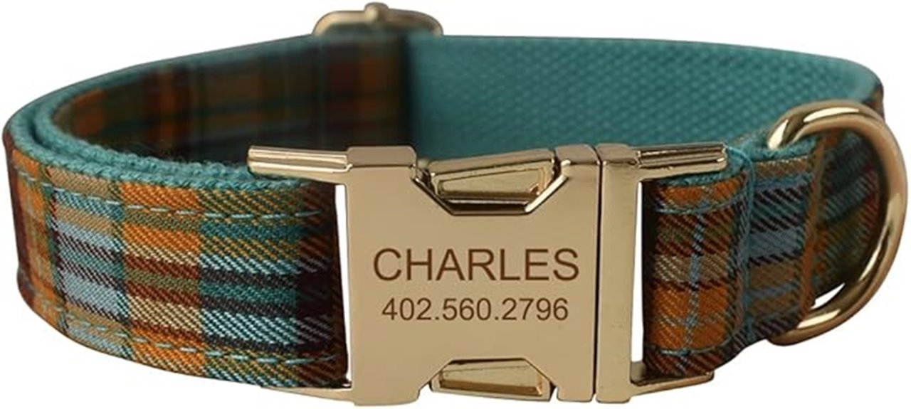 personalized pet collar tags