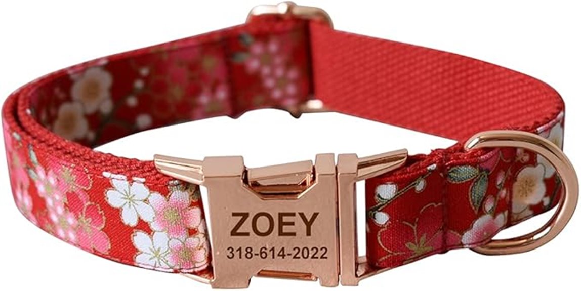 personalized pet collar