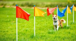 pet safety boundary flags