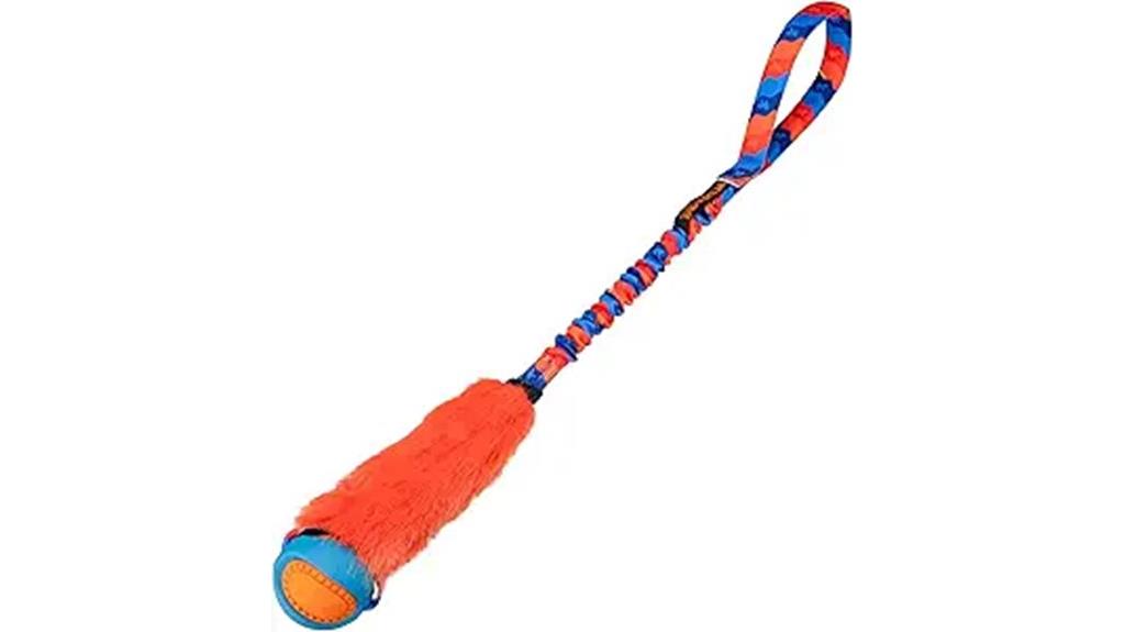powerball bungee dog toy