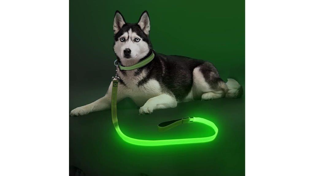 rechargeable nylon glow leash