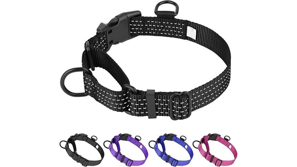 reflective adjustable dog collar