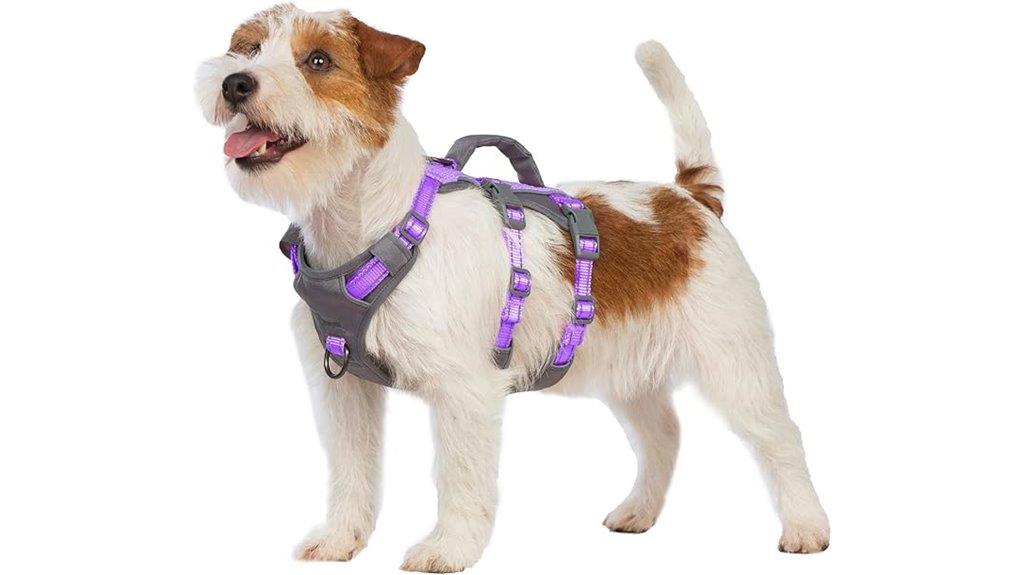 secure reflective dog harness