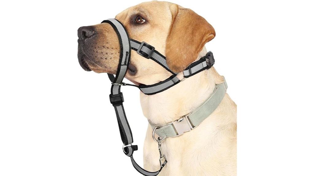 silent reflective dog collar