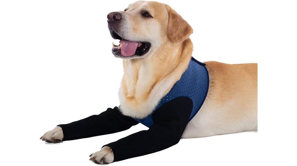 small blue dog suit