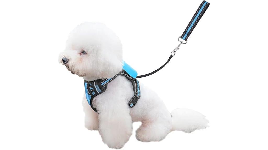 small dog harness set