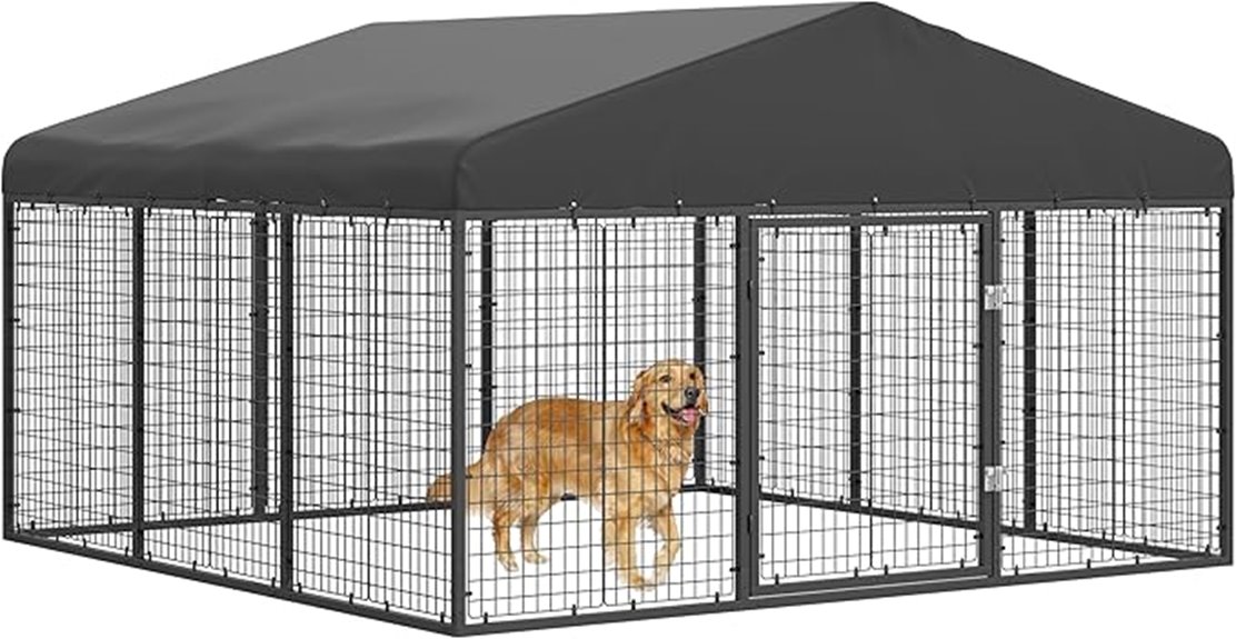 steel outdoor dog kennel