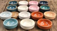 stylish custom dog bowls