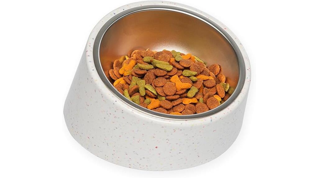 tilted small pet bowl