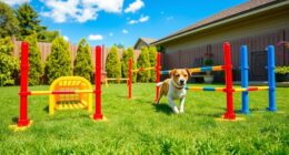 top backyard agility kits