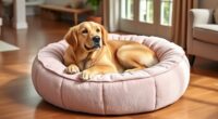 top calming donut dog beds