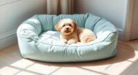 top comfort bolster dog beds