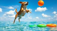 top water fetch toys