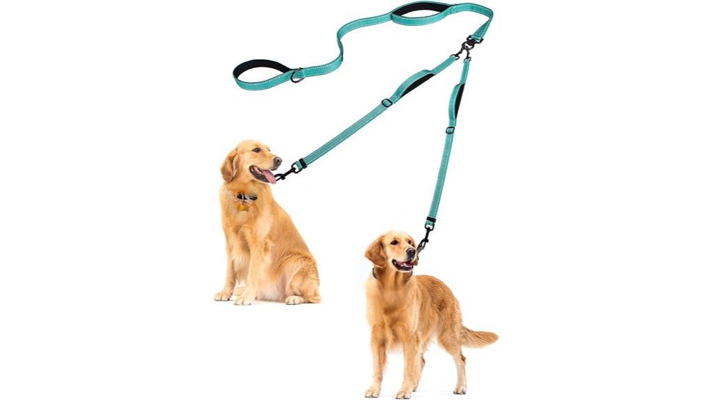 turquoise double dog leash