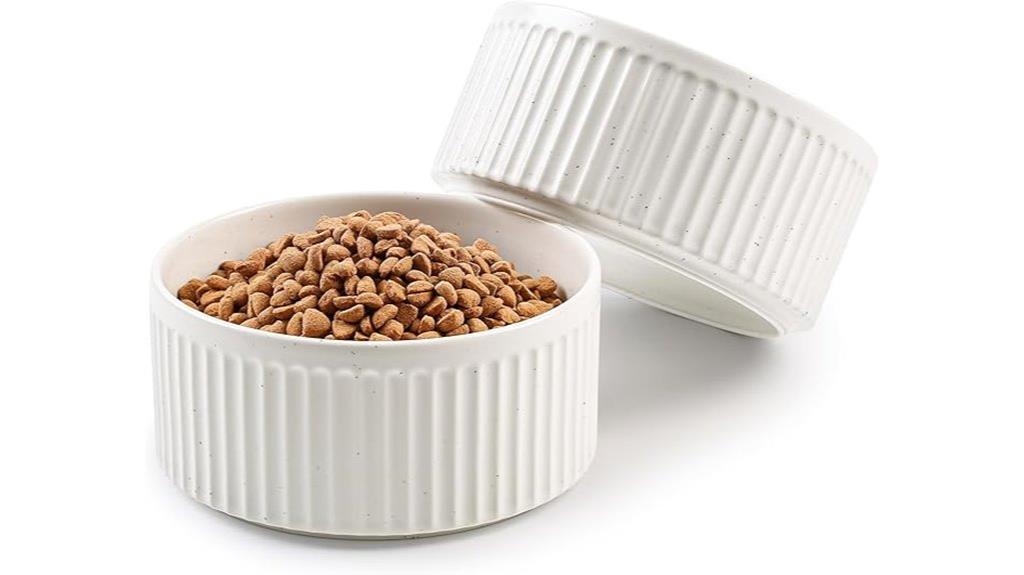 two non slip ceramic bowls