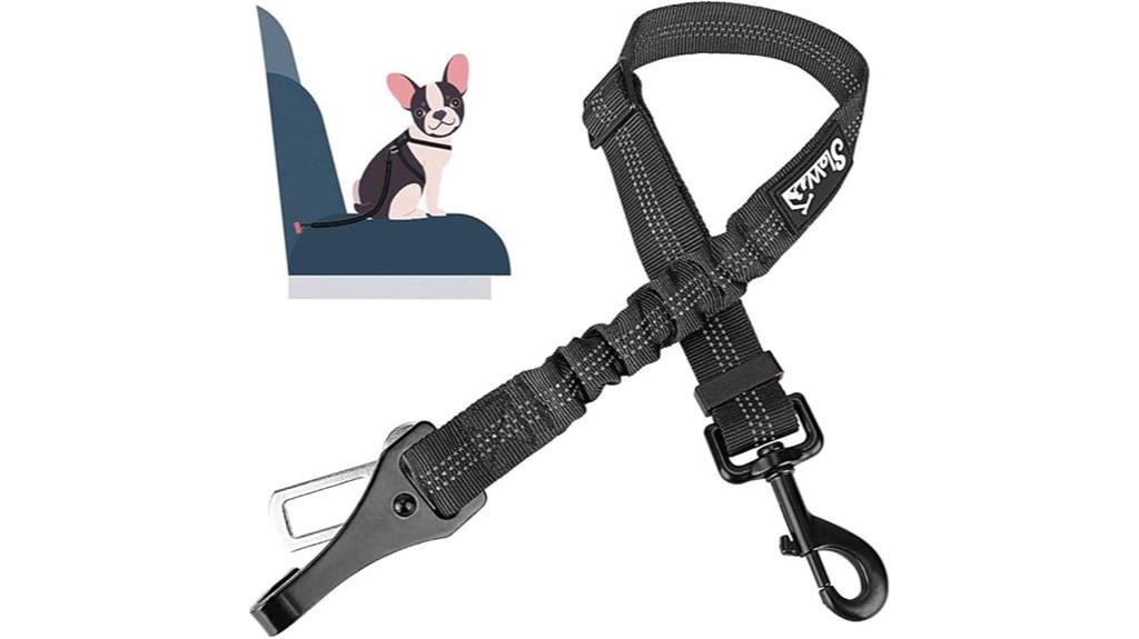 adjustable bungee dog restraint