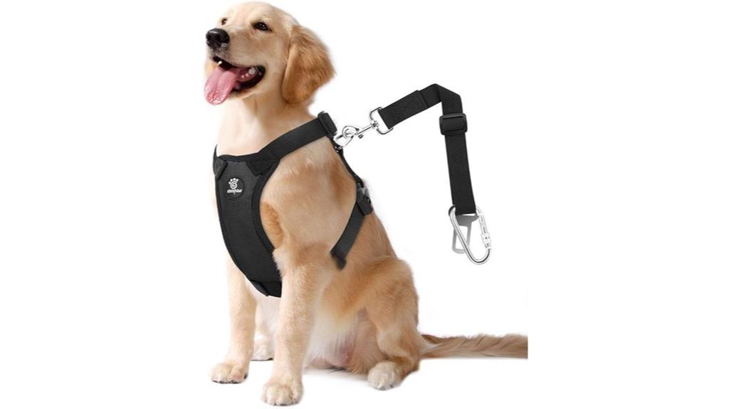 adjustable heavy duty harness