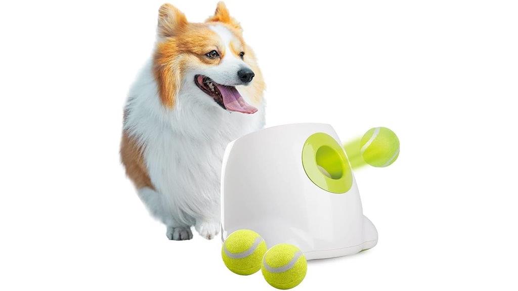 dog ball launcher kit