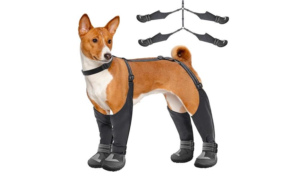 dog boots for winter