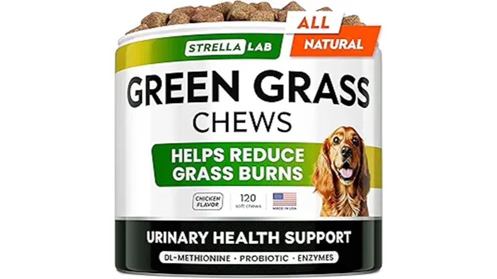 dog chews for grass