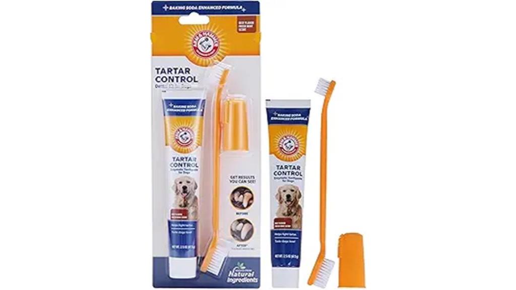 dog dental care kit