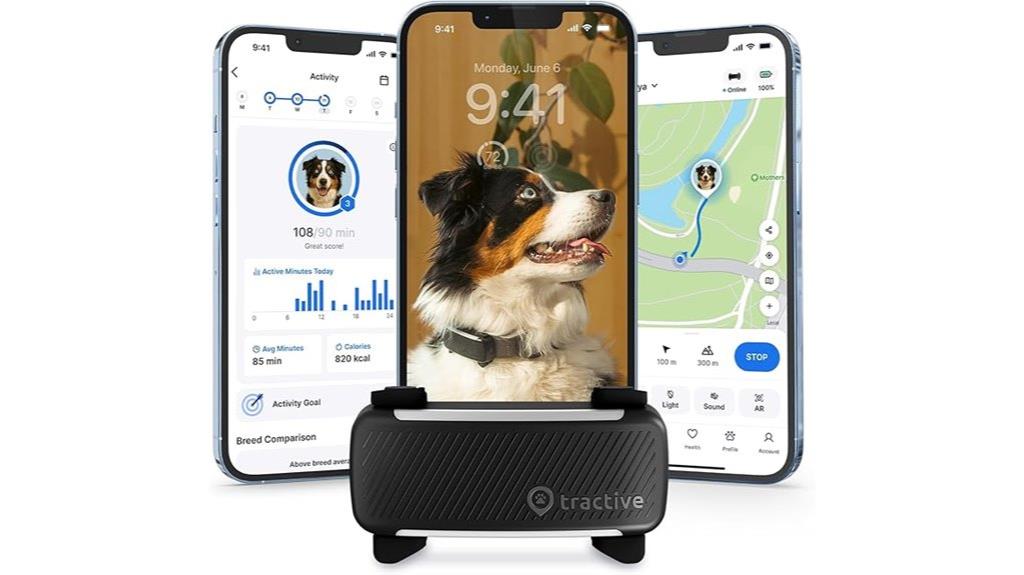 dog gps virtual fence