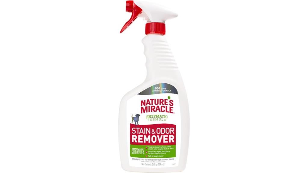 dog odor stain remover