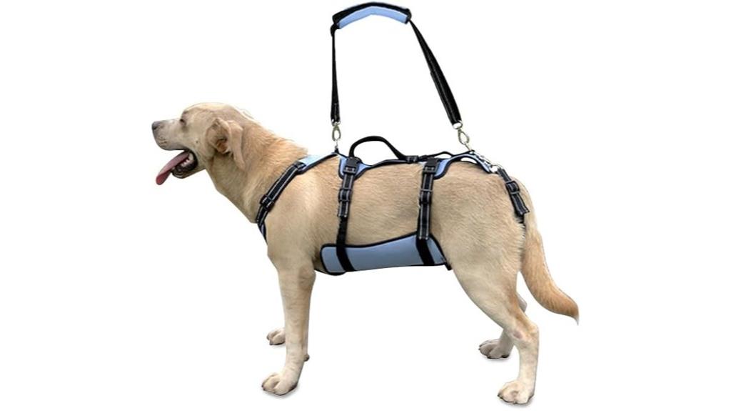 dog support recovery harness
